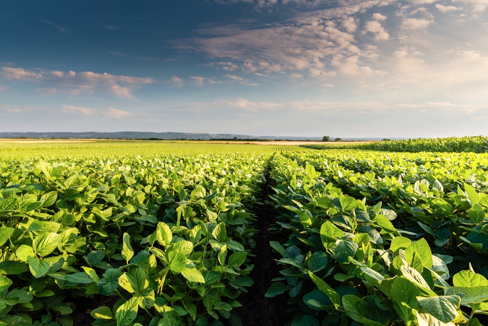 Tecnología Agrícola